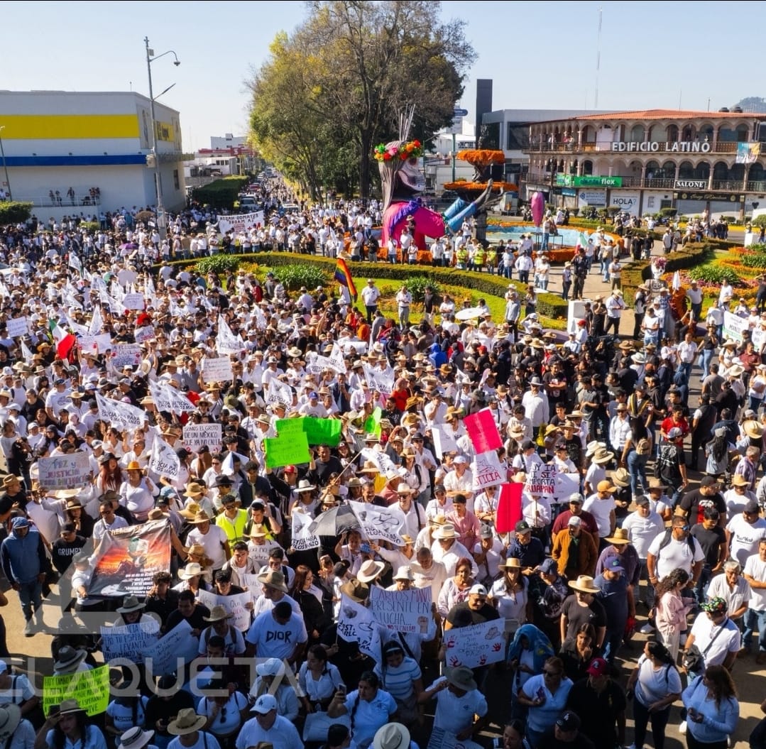 Vista aérea de una multitud sosteniendo carteles mientras se manifiestan