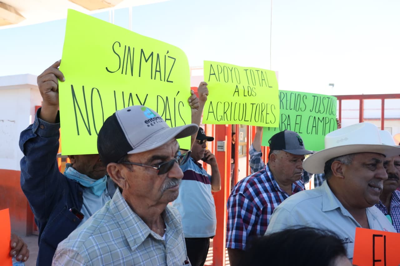 Manifestación de productores en empresa harinera de Los Mochis