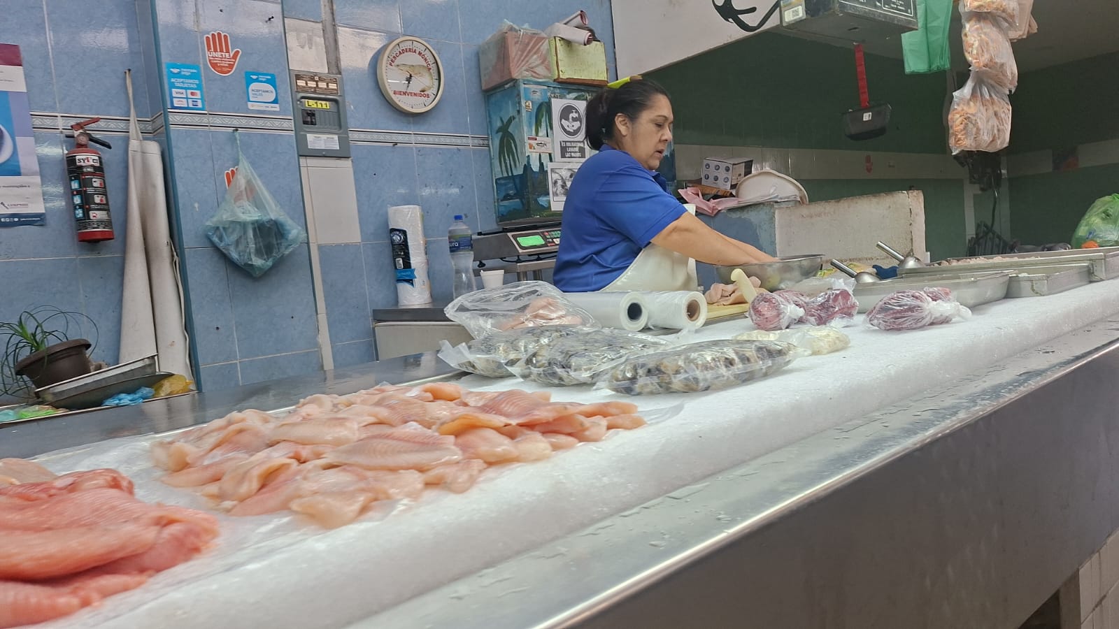 Puesto de un mercado de Los Mochis donde venden pescado y camarón, se ve en una barra los productos que ofrecen y lo frescos que están, y al fondo una trabajadora del mercado acomodando la mercancía