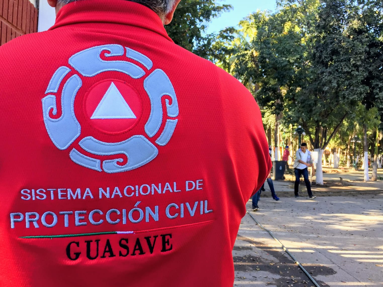 Espalda de hombre de PC Guasave