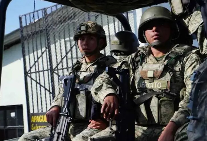 Plan Michoacán deja 83 detenidos y más de 13 mil kilos de droga asegurada en una semana