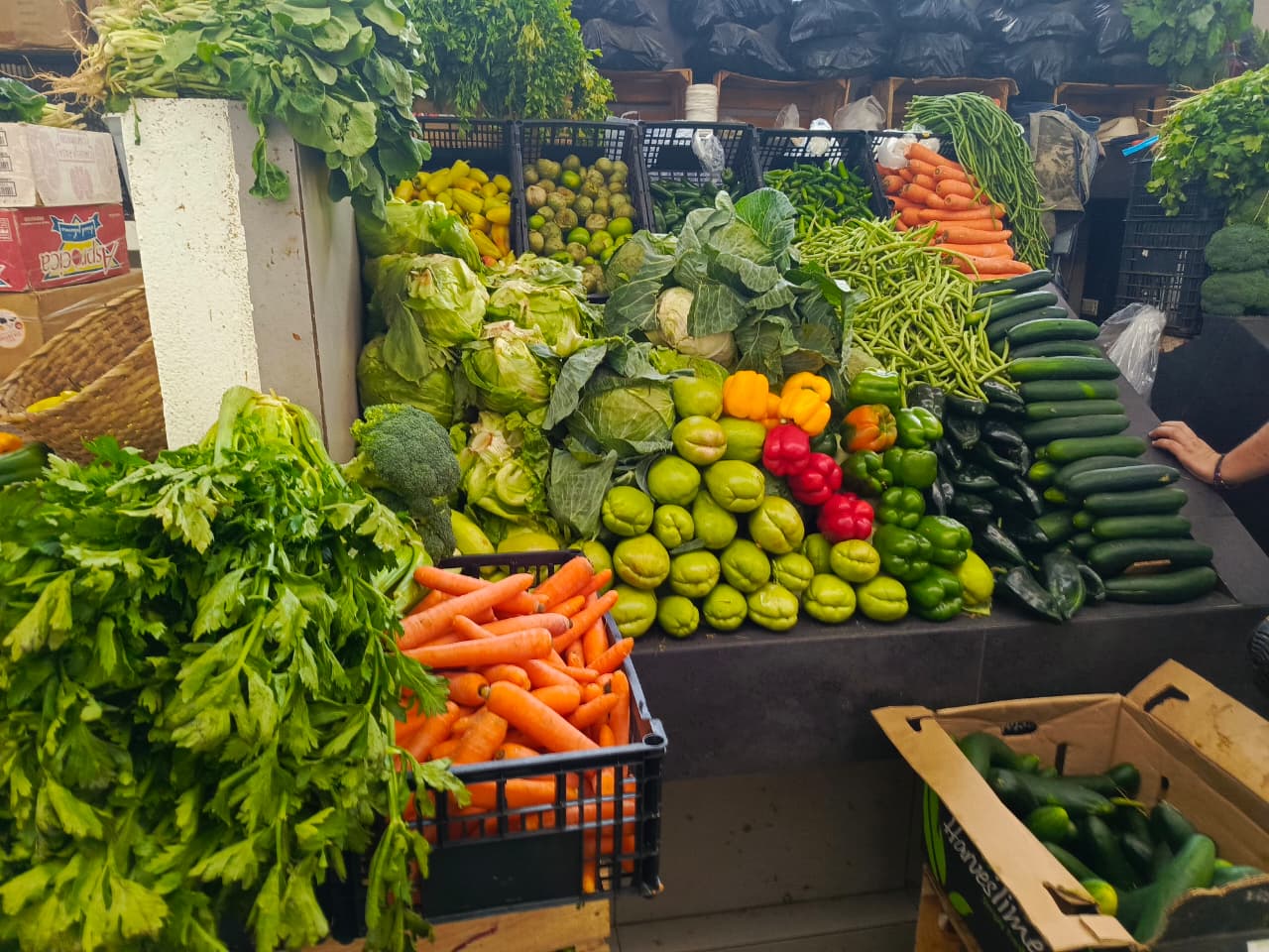 Zanahoria, chayote y pepino acomodado en un mercado de Los Mochis