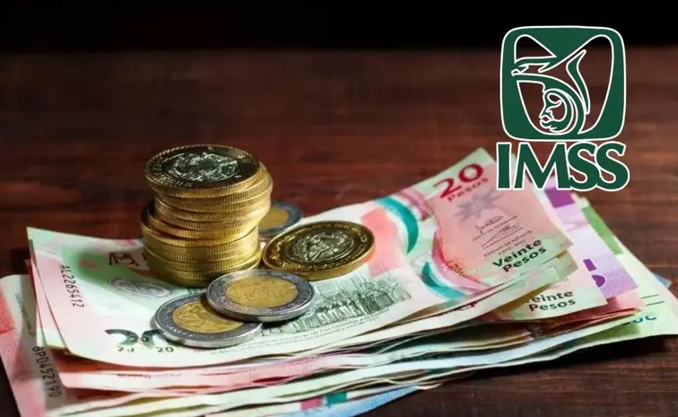 Renta vitalicia del IMSS: ¿Qué es y cuáles son los requisitos para solicitarla?
