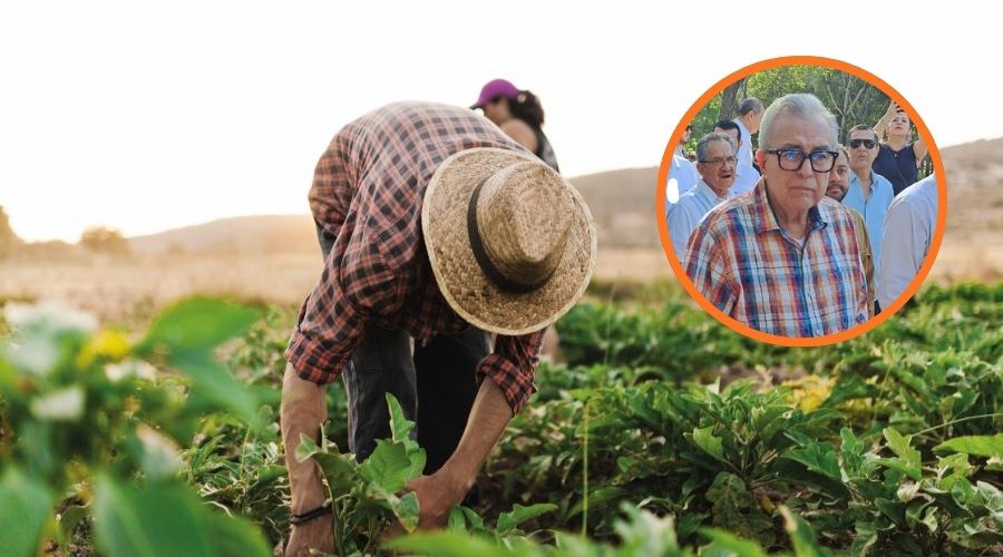 Imagen de un jornalero trabajando una cosecha en el campo y en un círculo el gobernador de Sinaloa, Rubén Rocha Moya
