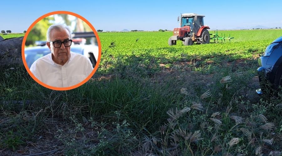 Campo de siembra y un tractor junto al gobernador de Sinaloa, Rubén Rocha Moya