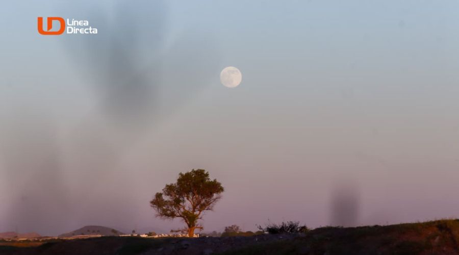 Superluna Castor, también llamada “del cazador”, con un paisaje de campo con un arbol y el cielo en tonos azules y rosas en degradación por el atardecer