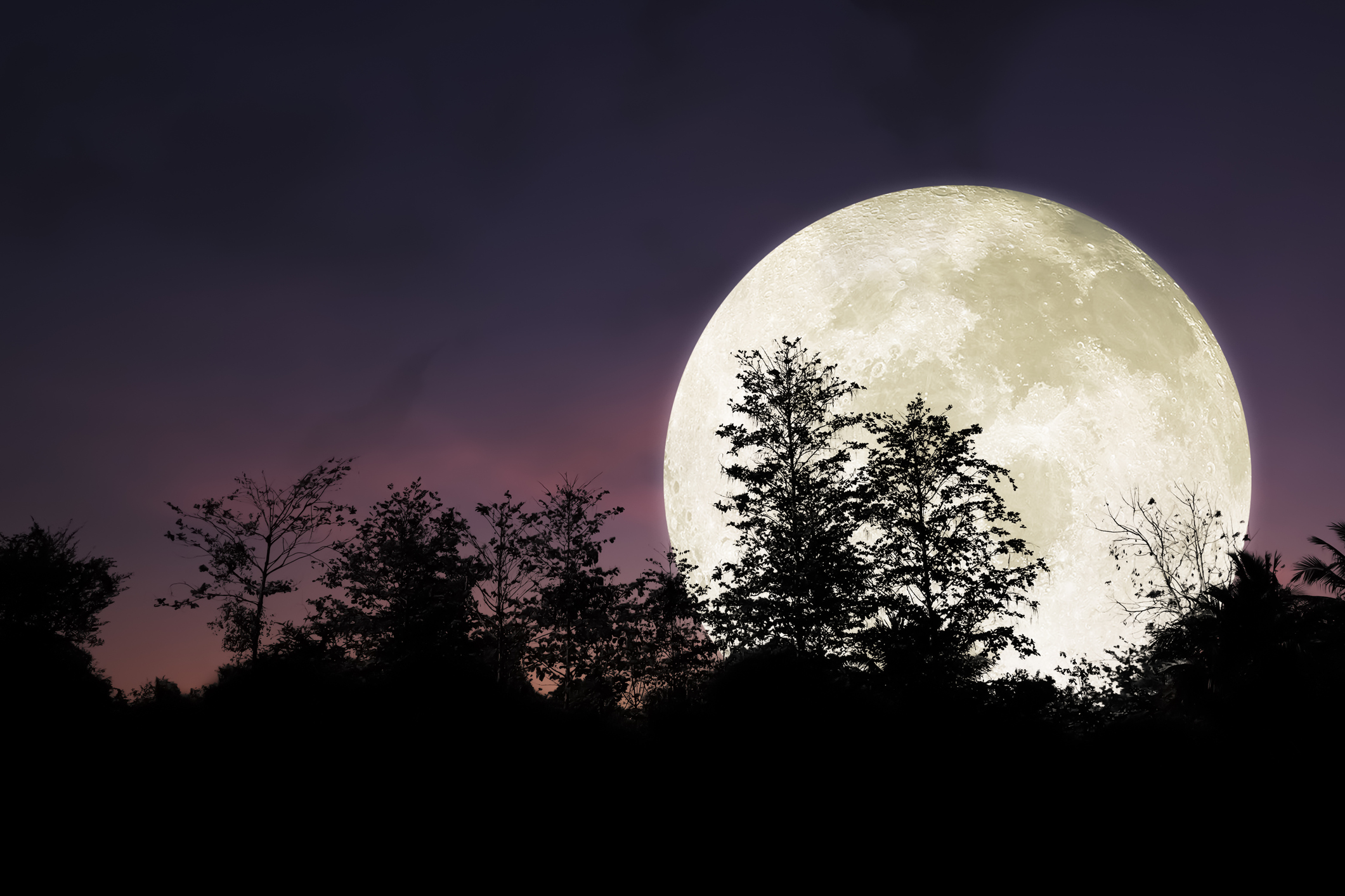 Luna llena de noviembre: ¿Por qué se le conoce también como la Superluna del Castor?