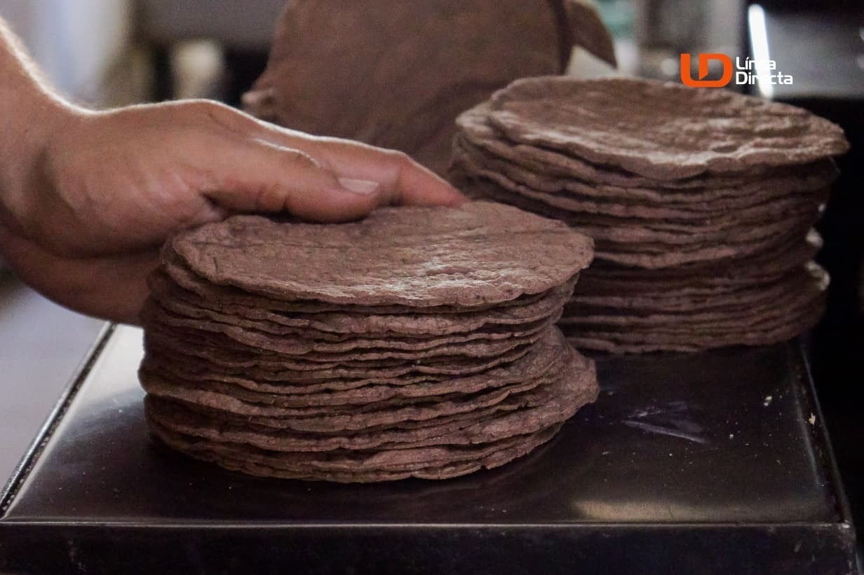 Tortilla de Maíz Criollo Negro junto a una mano
