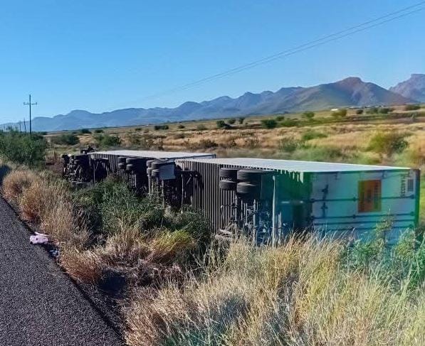 Tráiler volcado hacia un costado entre la maleza de la orilla de una carretera
