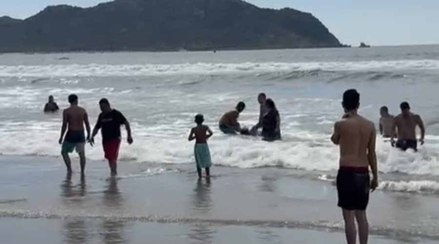 Playa de Mazatlán donde se ve a dos rescatistas sacando a una persona del mar mientras que un grupo de bañistas a los alrededores observan lo sucedido