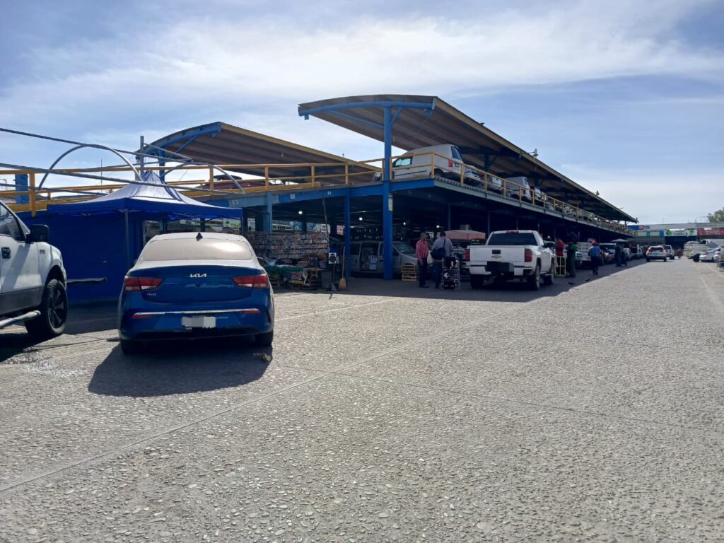 carros estacionados en la yarda
