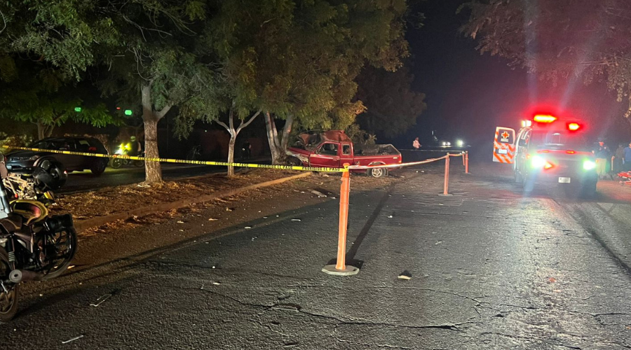 Automóvil choca contra un árbol