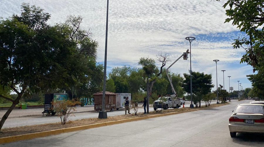 Preparación de luces navideñas en las calles de Guasave