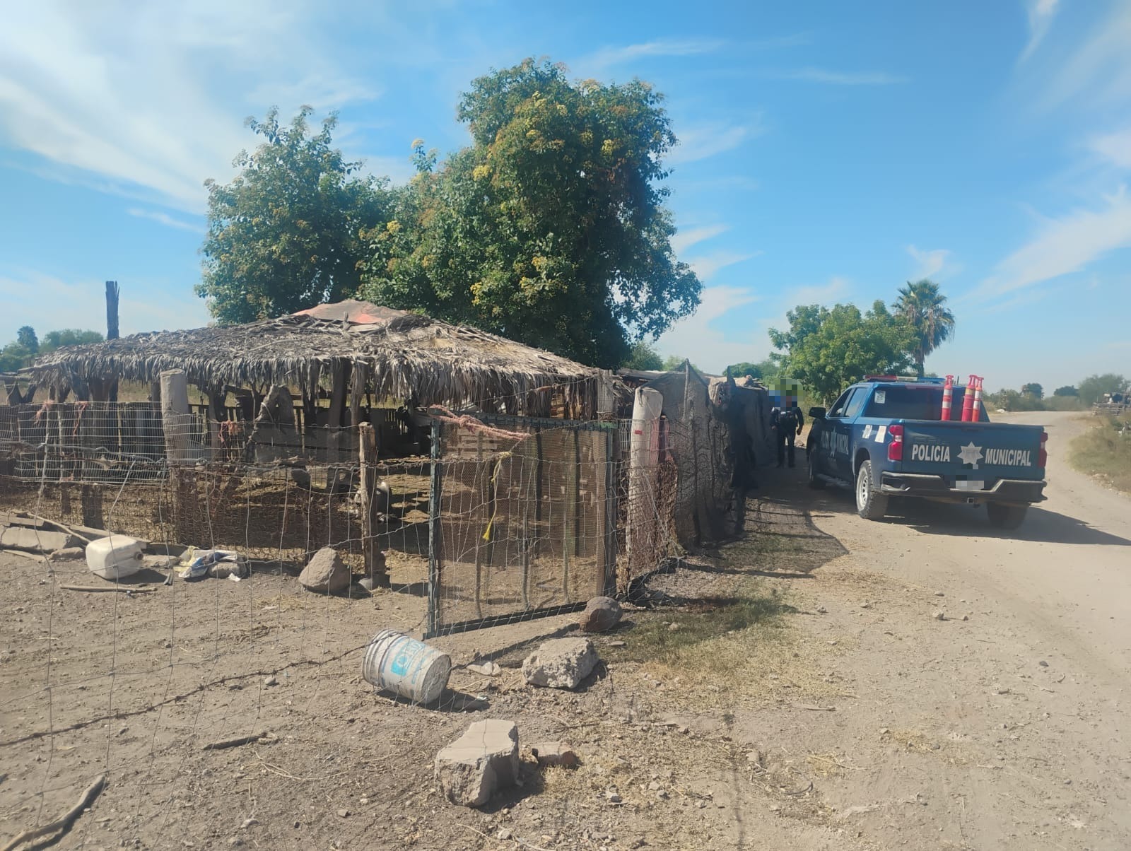 Patrulla de la policía de Guasve fuera de establo donde ocurrió ataque de perros a borregas