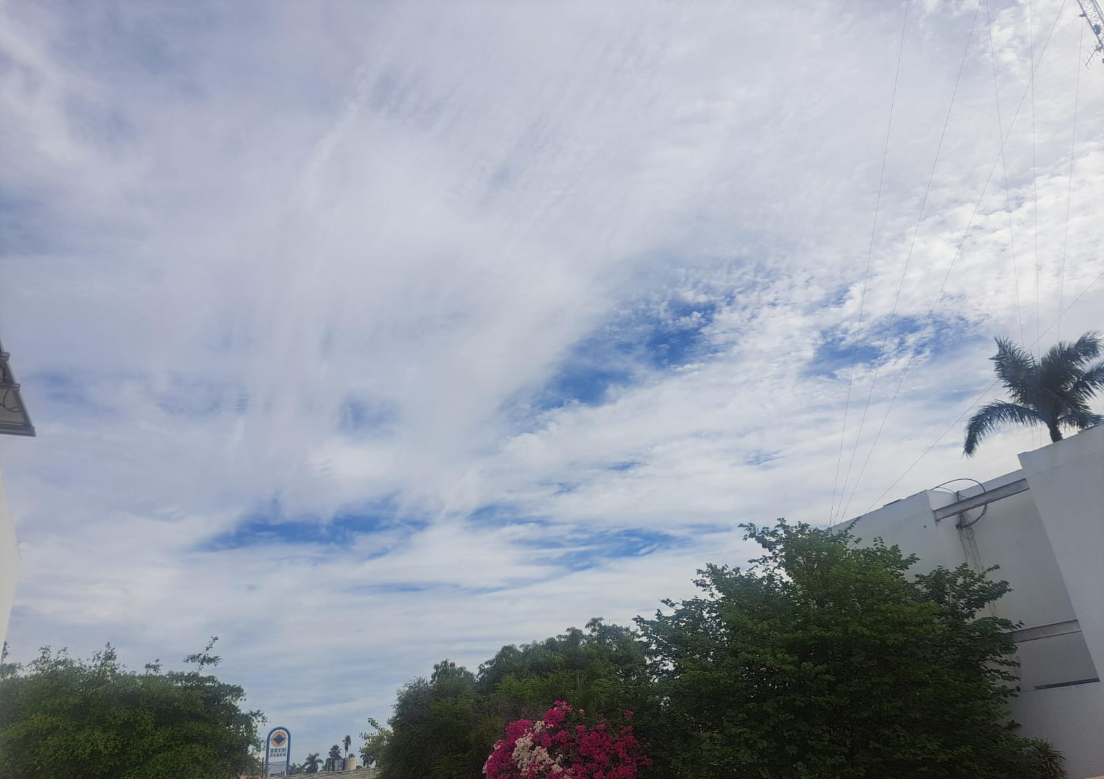 Cielo medio nublado con arboles