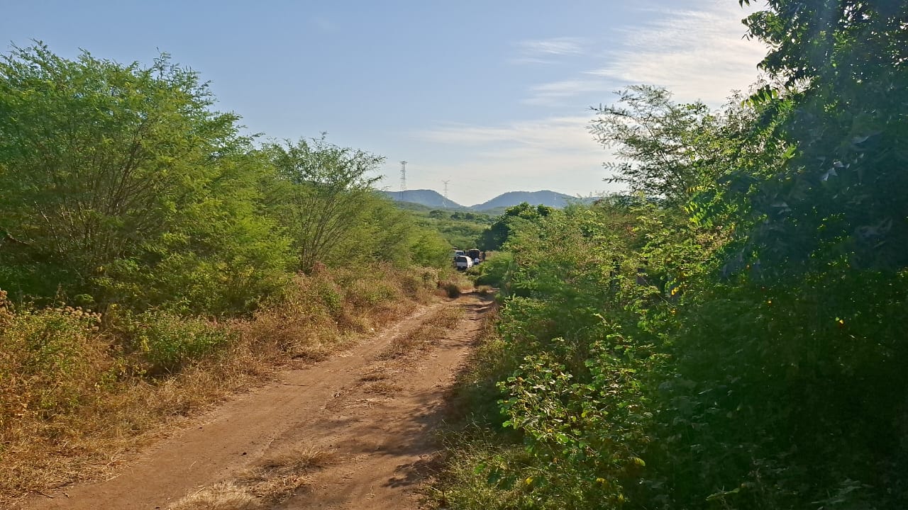Zona de monte y camino de terracería, al fondo del camino se observan camionetas de la FGE Pericial en El Chilillo, Mazatlán
