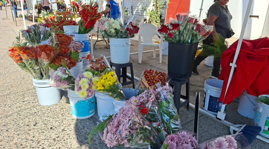 Local de flores