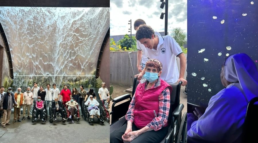 Adultos mayores en el Gran Acuario de Mazatlán