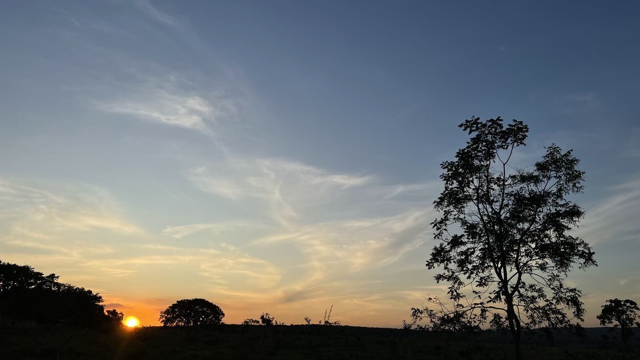 Amanecer en tonos azules y naranjas con con sombras de árboles