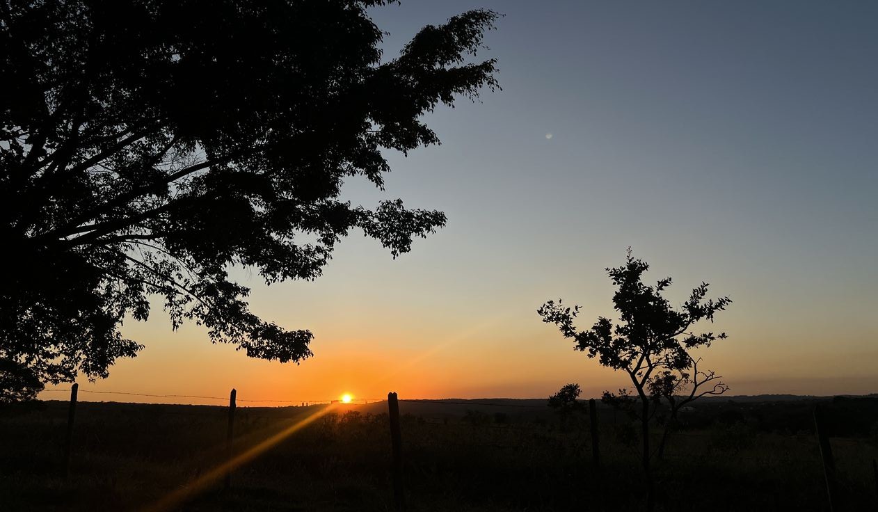 Puesta de sol o amanecer en el campo con arboles y cielo despejado