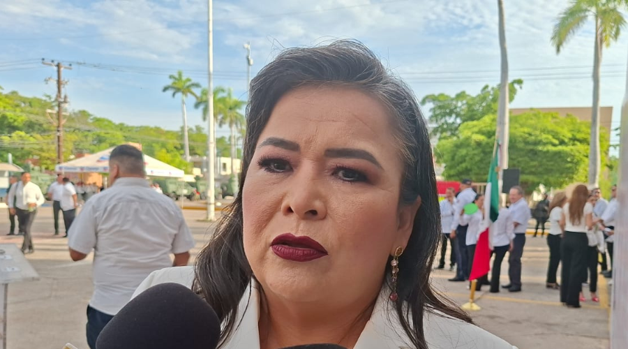 Ana Ayala Leyva, diputada de Morena