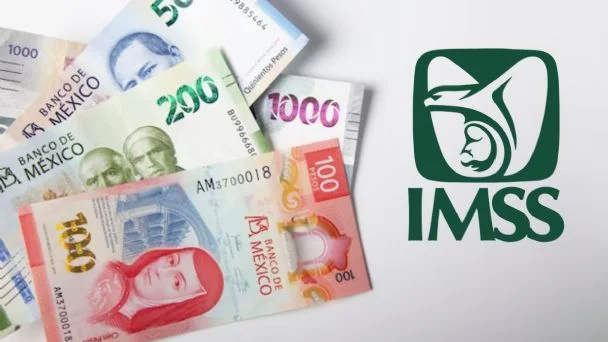 ¡Toma nota! Este es el calendario completo de pagos de la pensión IMSS en 2026