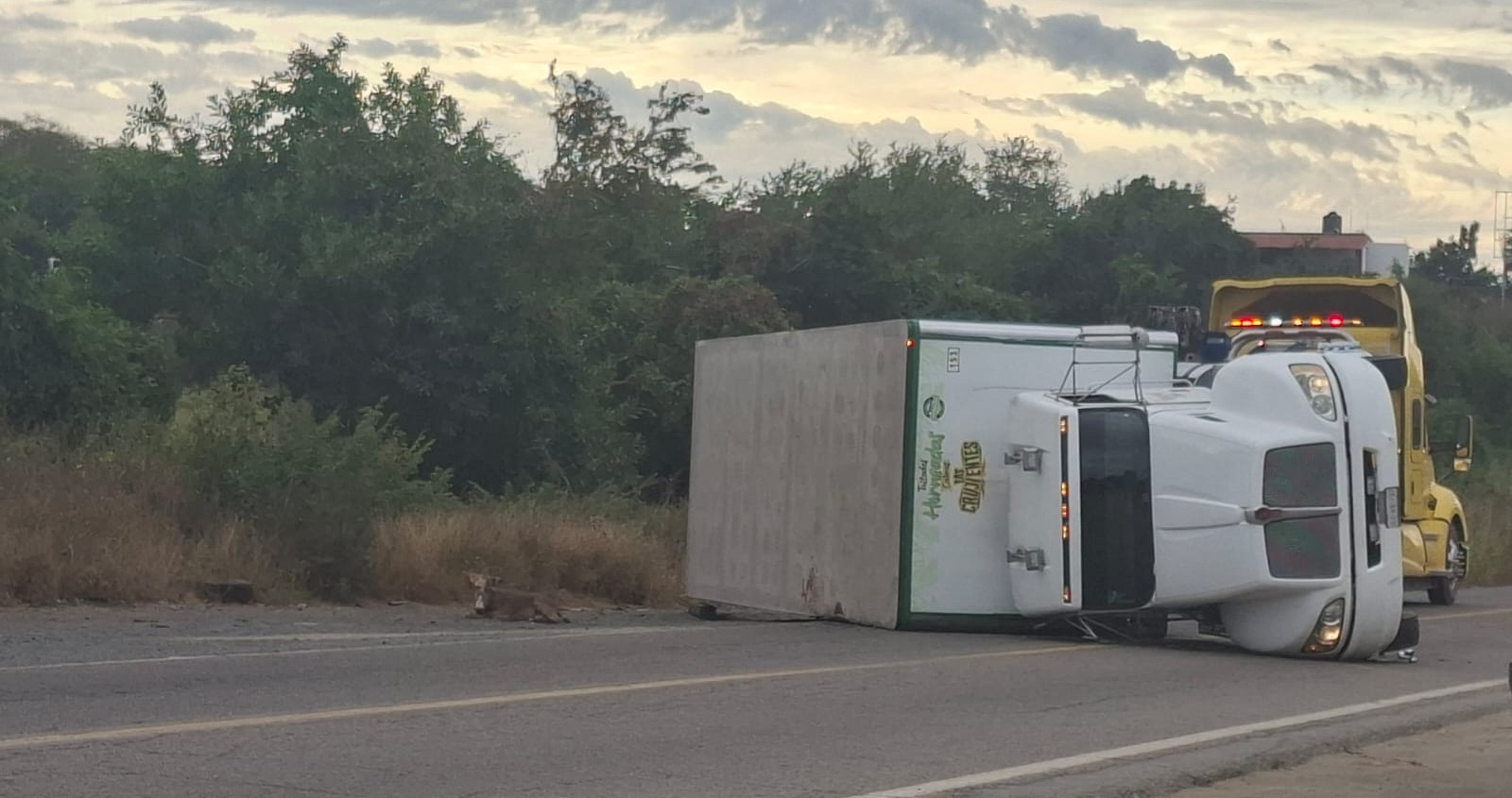 Camión de carga volcado en una carretera y un burro acostado en el azfalto