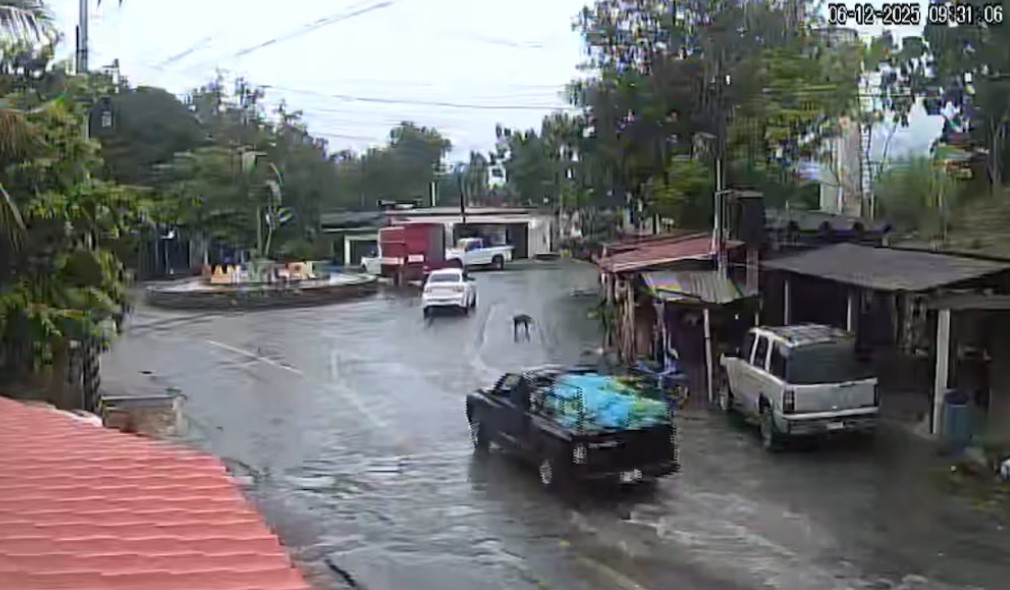 ¡Ocultos entre plátanos! Revelan traslado de explosivos previo al siniestro en Coahuayana: VIDEO