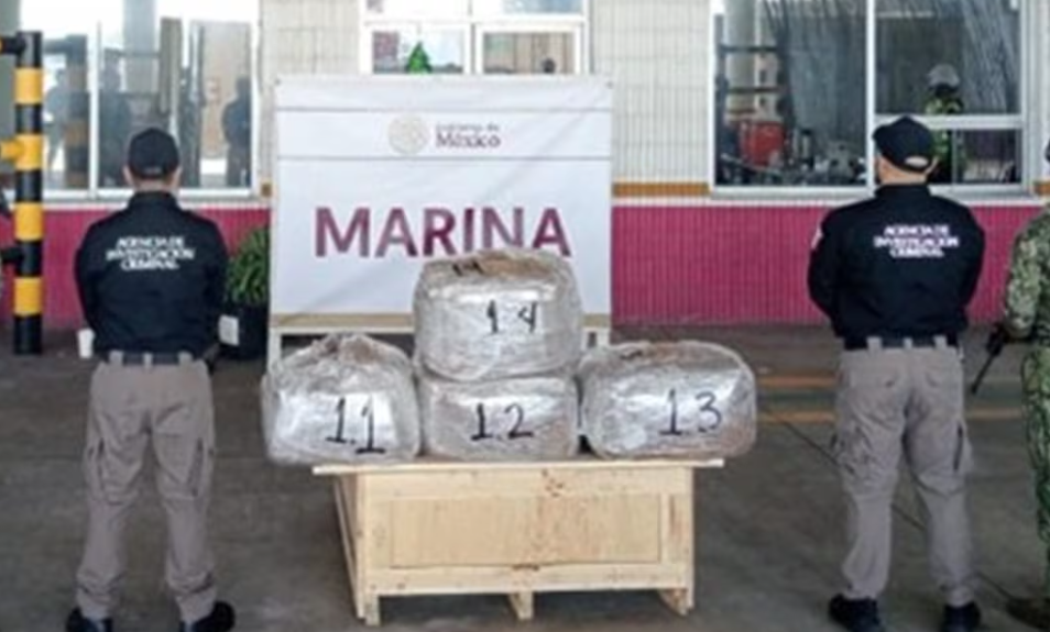 Detectan cargamento con droga psicodélica oculta en exportación desde Veracruz