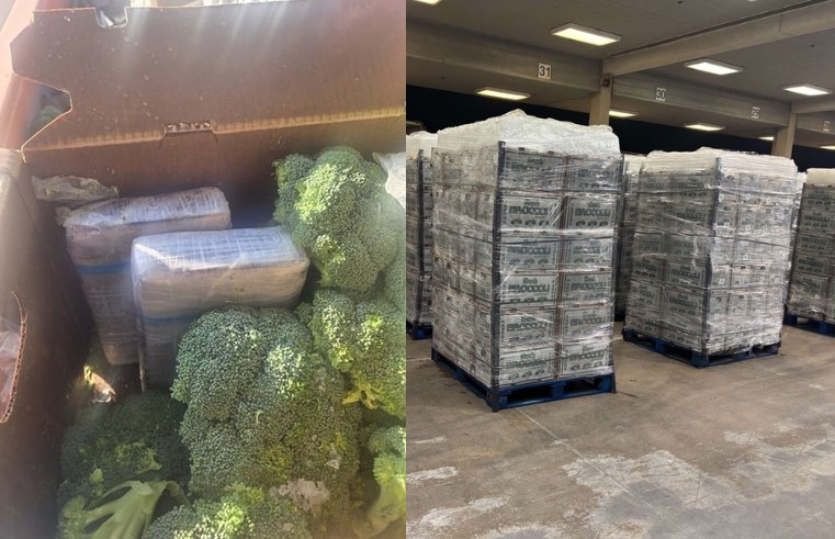 Aseguran más de 157 kilos de cocaína ocultos en cargamento de brócoli en puerto fronterizo de Texas