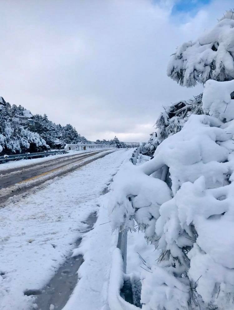 Camino nevado