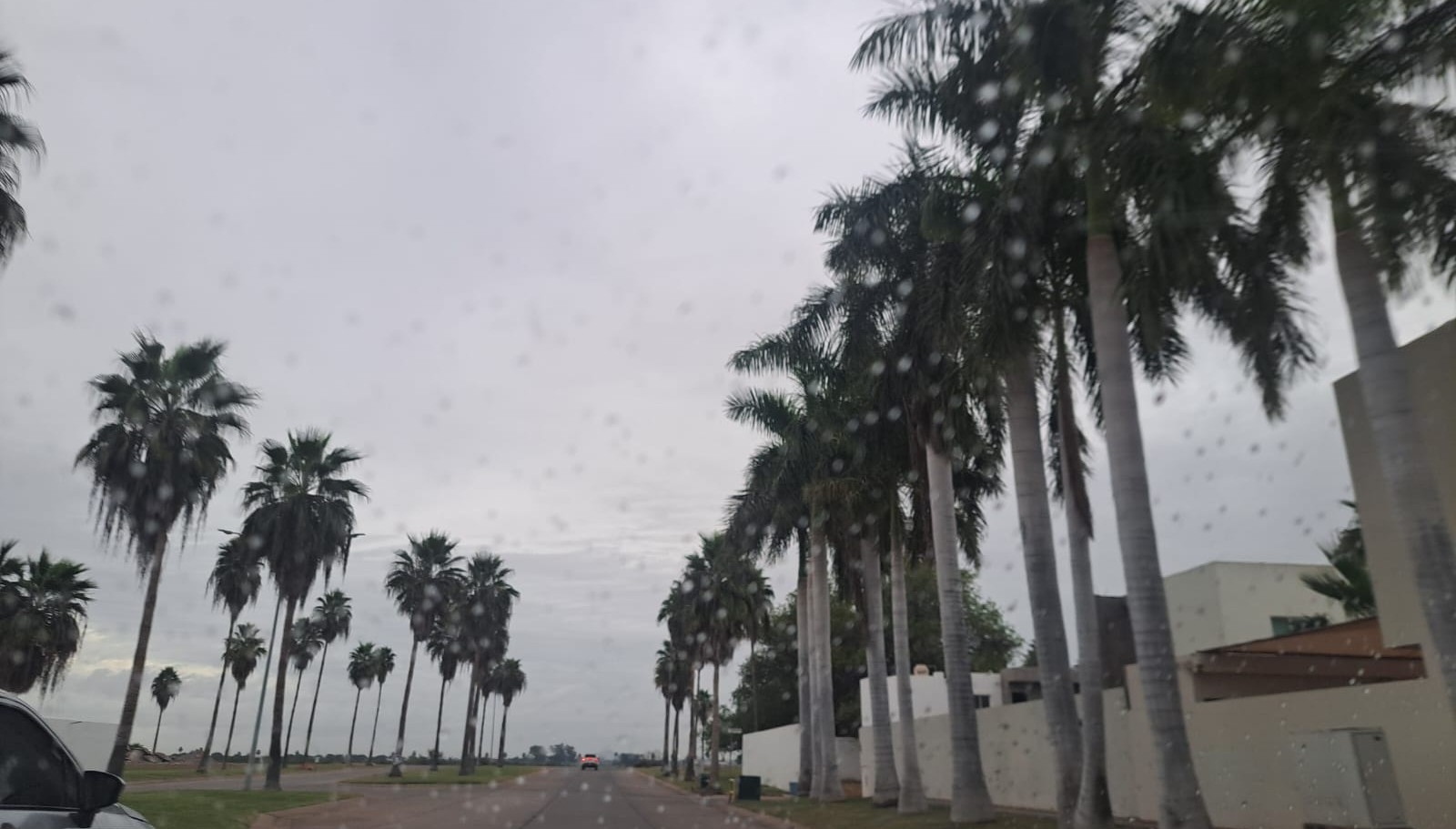Cielo nublado con palmeras y casas