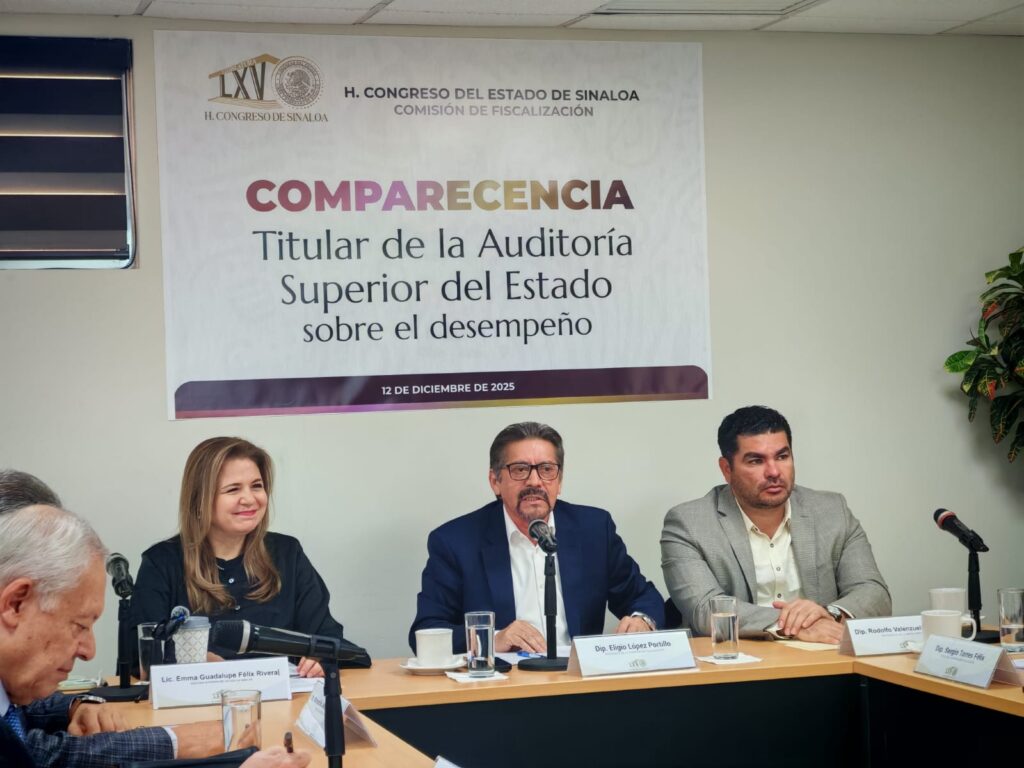 Titular de la Auditoría Superior del Estado (ASE), Emma Guadalupe Félix Rivera