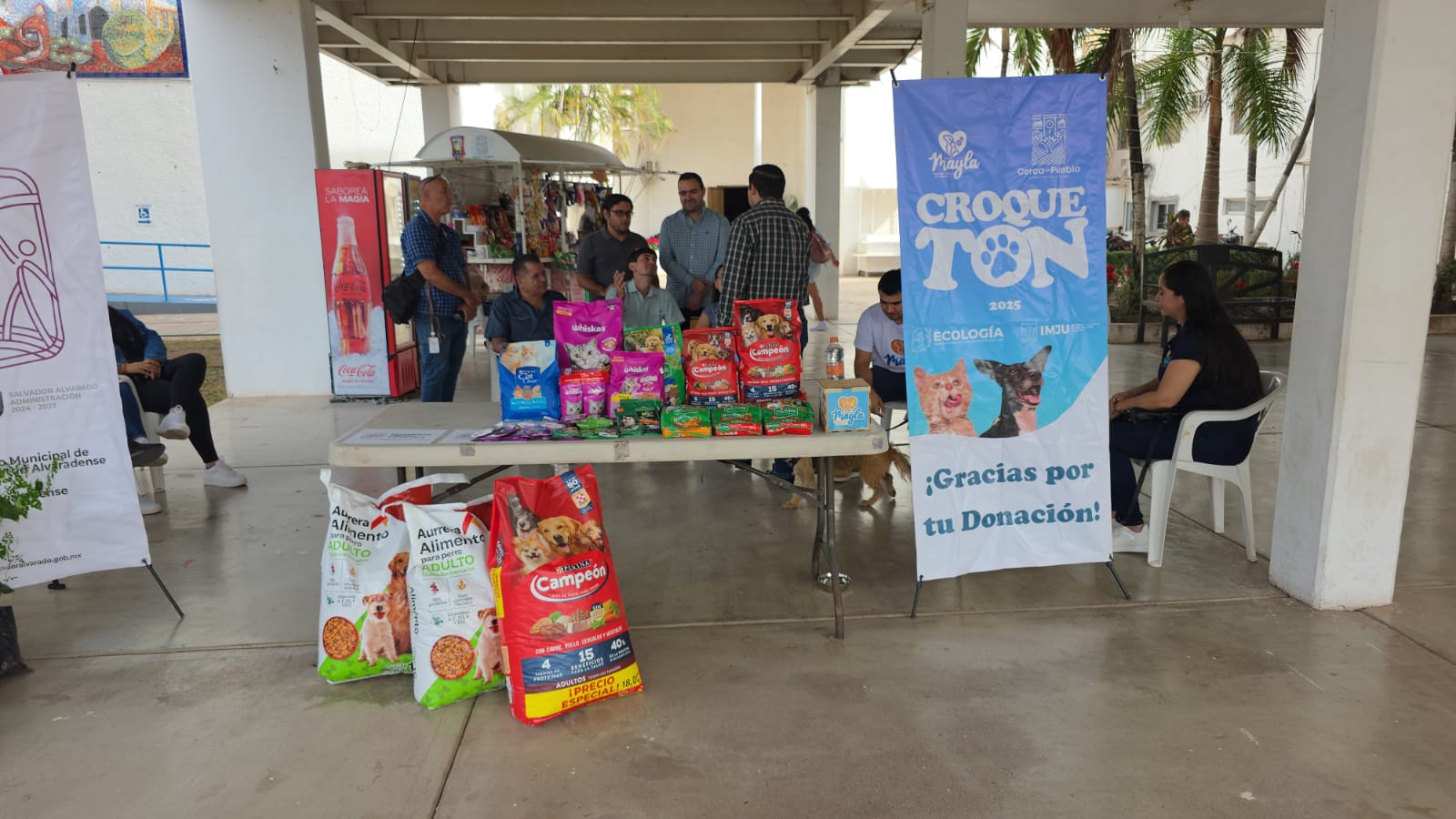 Croquetón 2025 en Salvador Alvarado