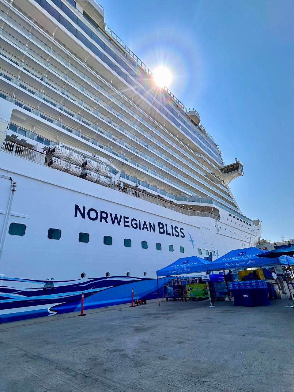 Crucero en el puerto