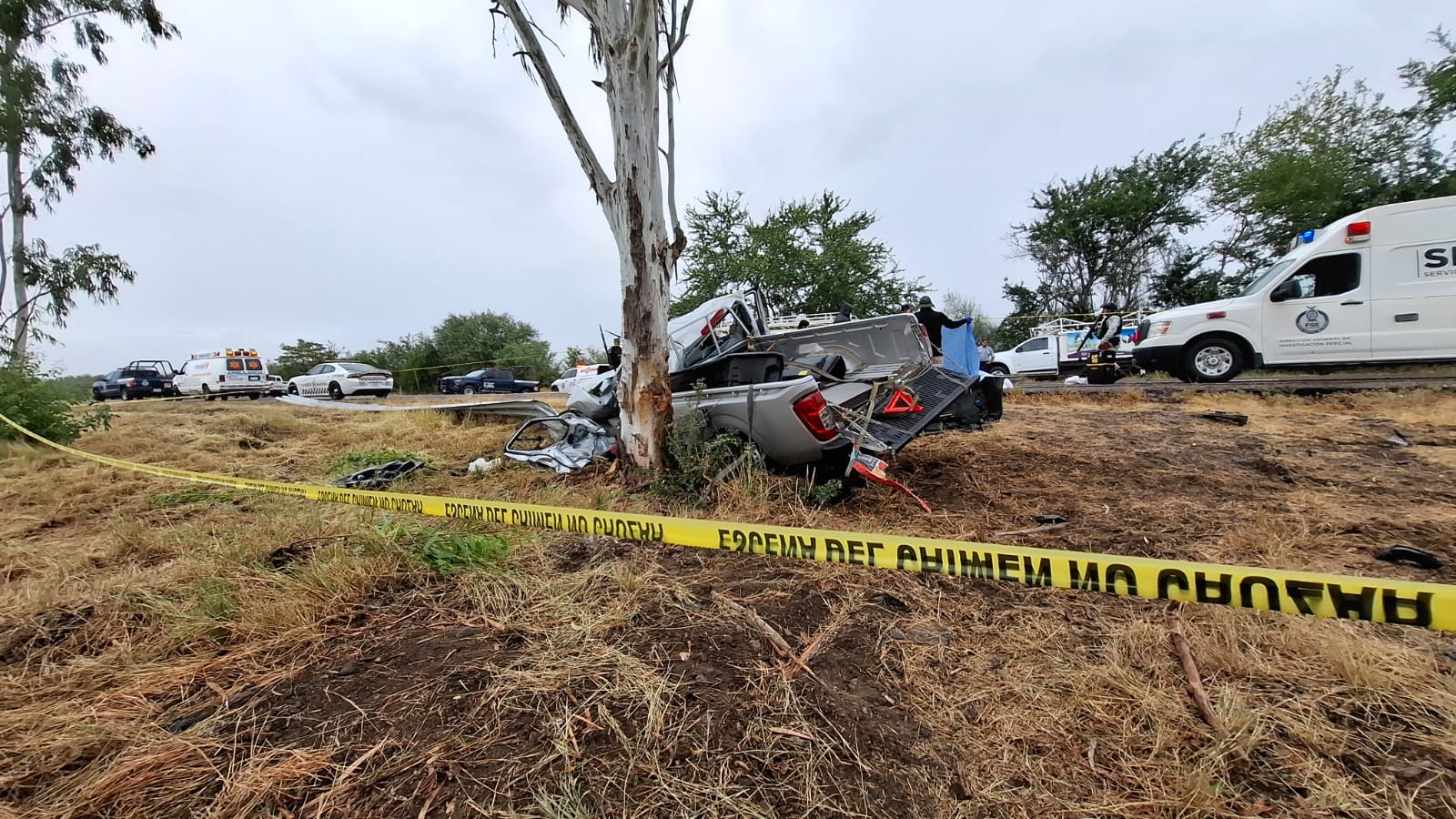 Cinta amarilla donde está una camioneta gris impactada contra un árbol