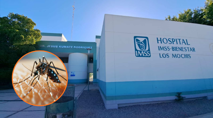 De fondo el Hospital General de Los Mochis, en un circulo abajo a la izquierda un mosco parado sobre la piel de una persona