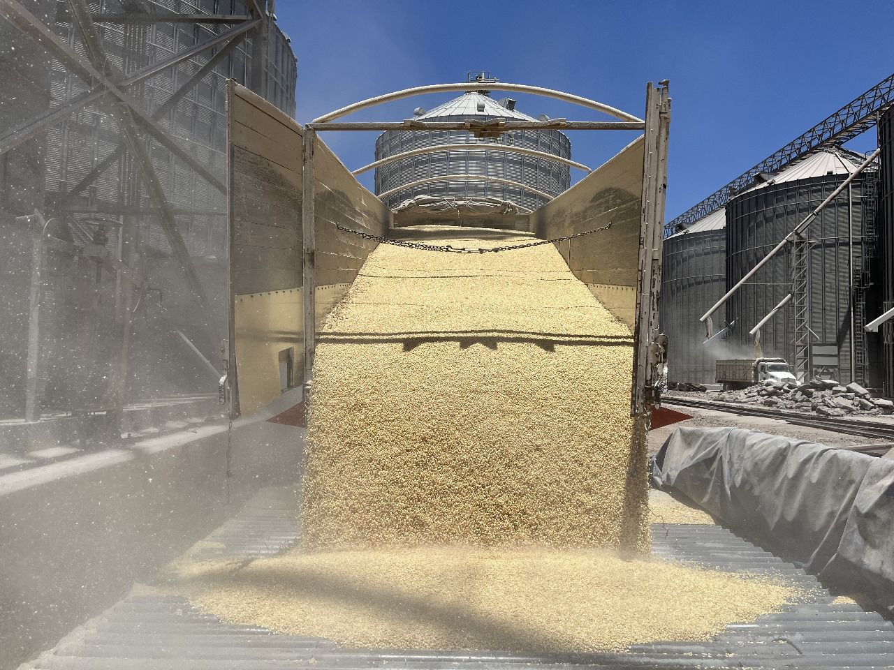 Descarga de grano de Maíz en Sinaloa