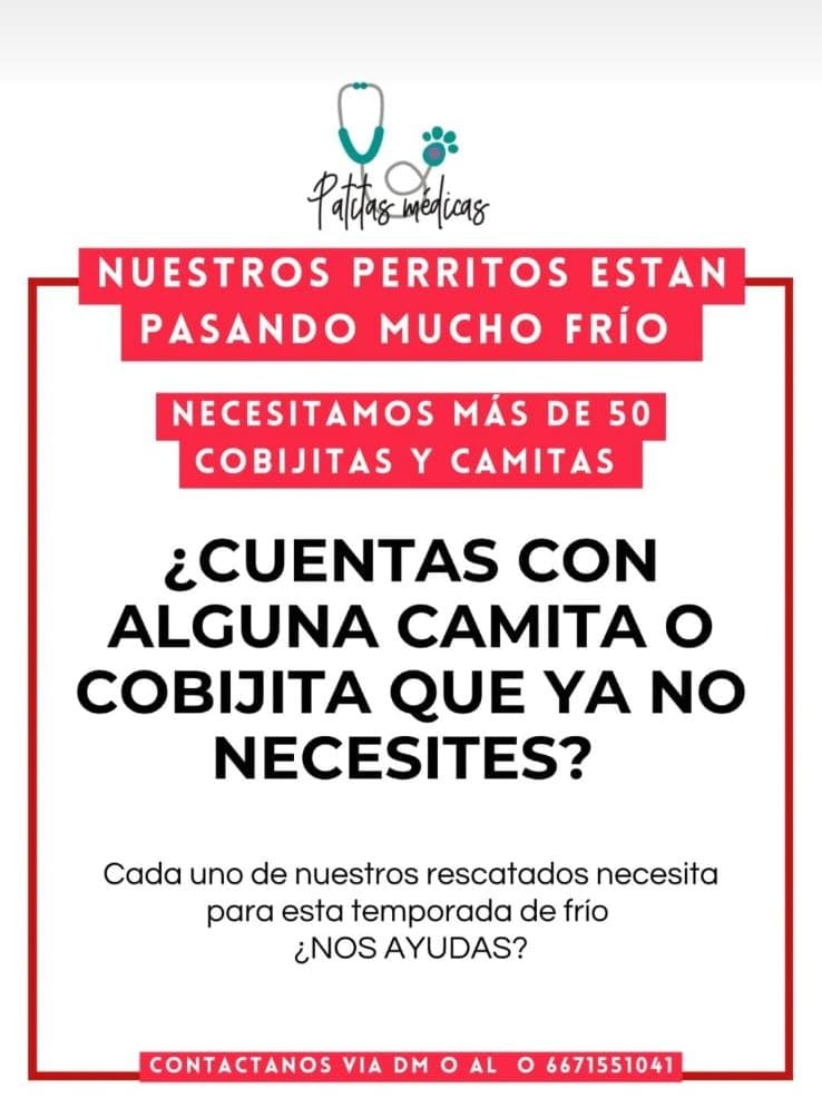Flyer sobre donación de camas y abrigos para perros 