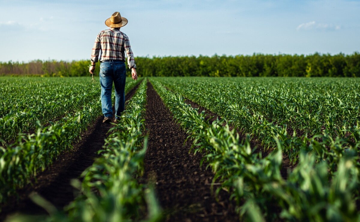 ¿Buscas empleo en el exterior? Abren vacantes para trabajadores agrícolas en empresa de EU
