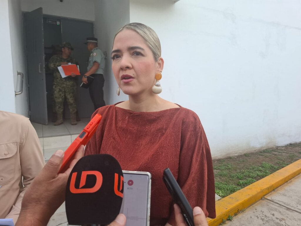 Mujer con el pelo recogido usando una blusa color rojizo con micrófonos enfrente de ella