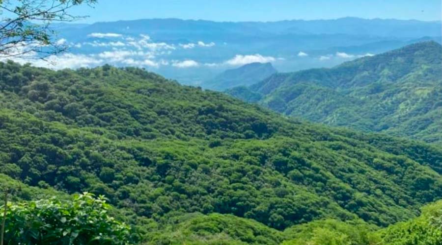 Zona serrana de Sinaloa