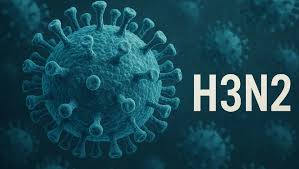 Influenza A H3N2 subclado K