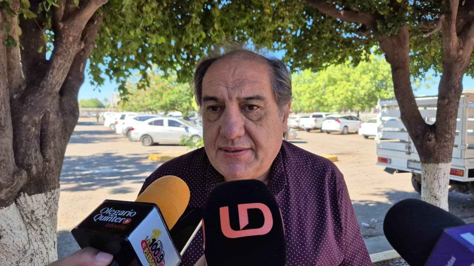 Persona hablando y al frente dos micrófonos
