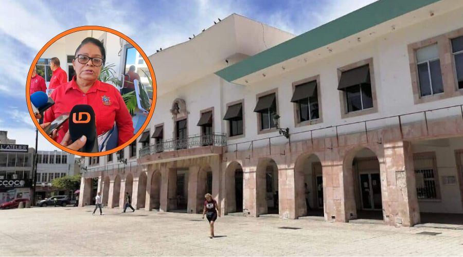 Ayuntamiento de Mazatlán (fondo), Laura Elena Tirado Aguilar