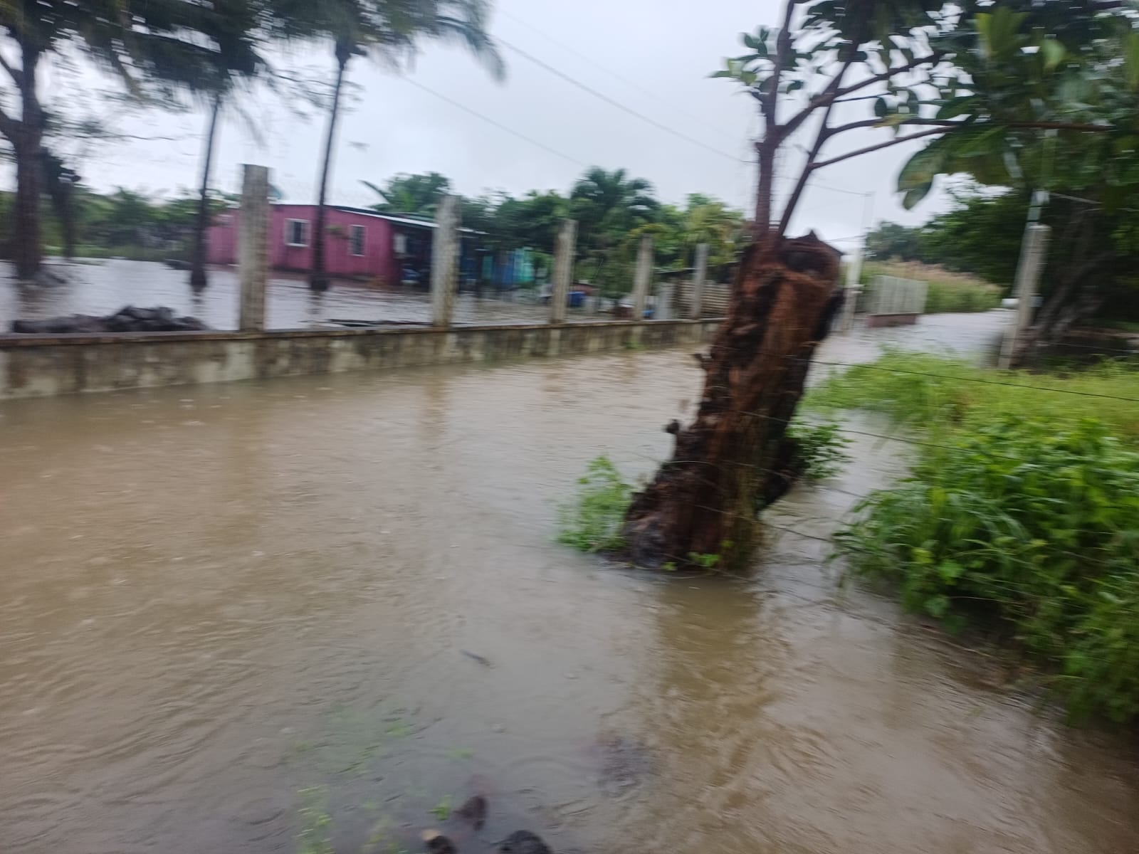 Protección Civil atienden emergencia por lluvias en municipios de Veracruz