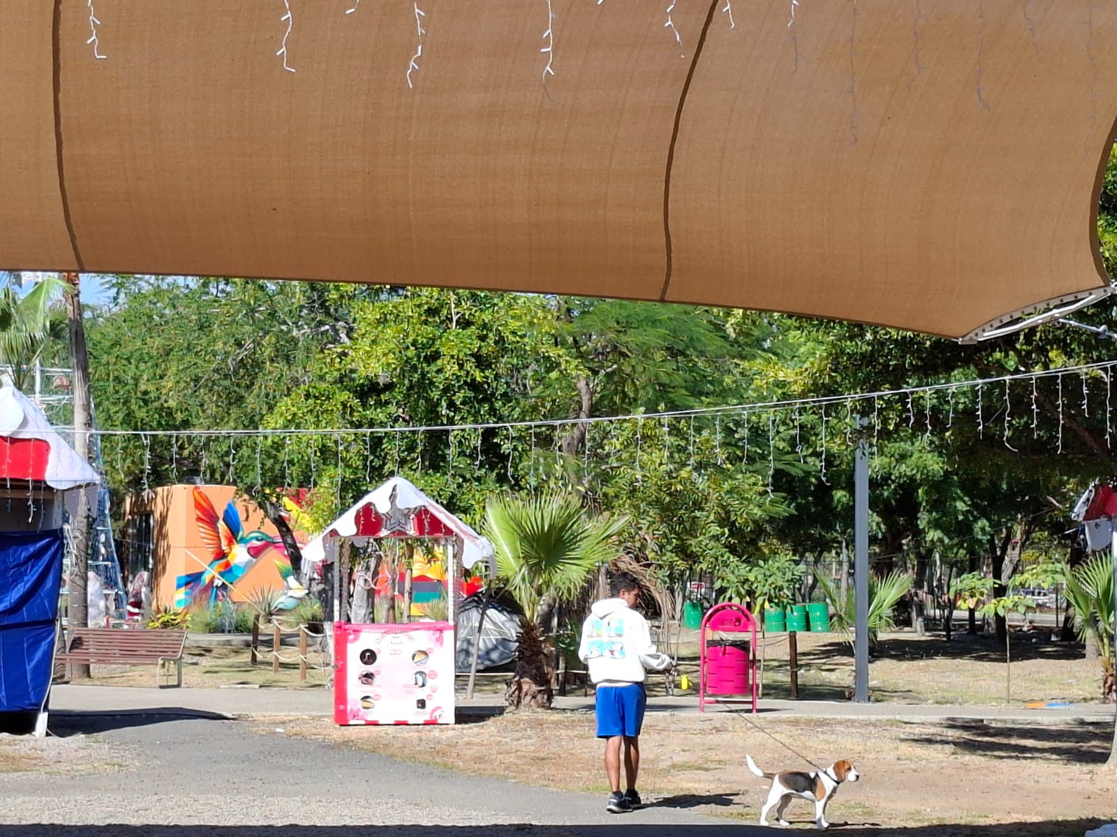 Joven paseando a su perro en un parque de Mazatlán.