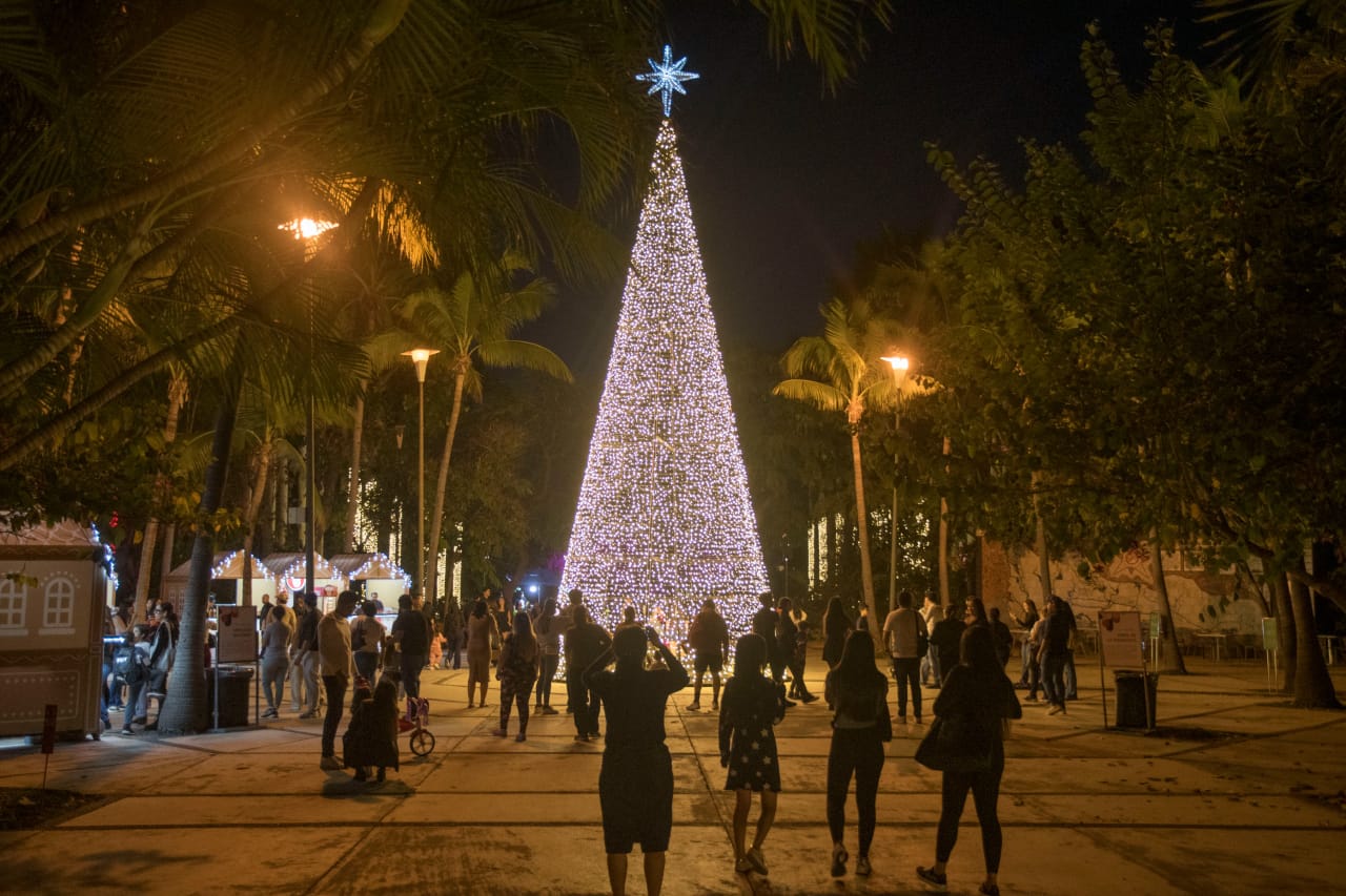 Árbol de Navidad de luces en el jardín botánico