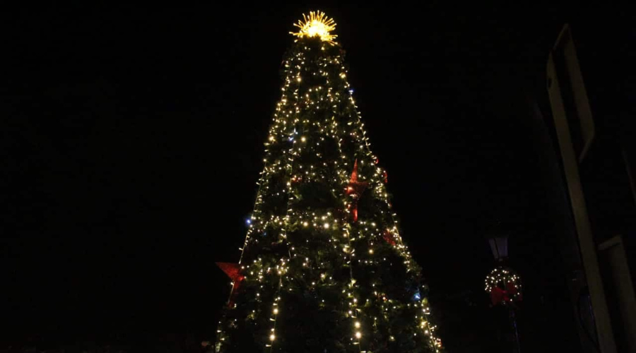 Pino de navidad decorado con muchas luces y una estrella