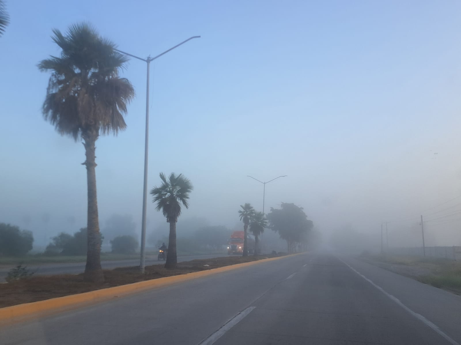 Niebla intensa en una carretera